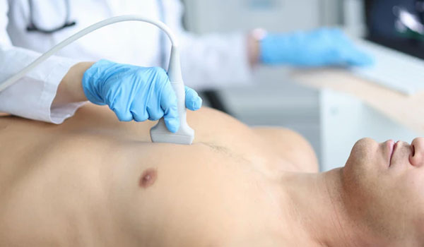 Certificate in 2D Echocardiography
