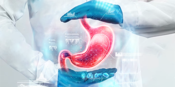 Fellowship in Gastroenterology