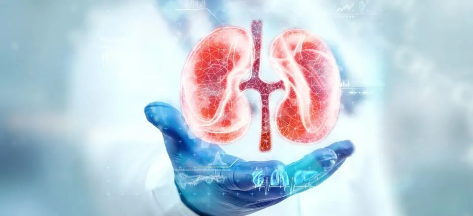 Fellowship in Nephrology
