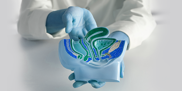 Fellowship in Urology