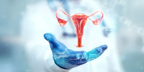 Fellowship in Obs & Gynae